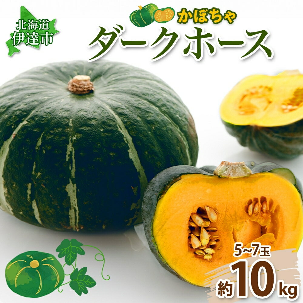 【ふるさと納税】伊達【木須農園】のかぼちゃ＜ダークホース＞約10kg　【野菜】　お届け：2024年9月中旬～11月上旬まで