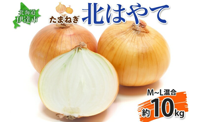 【ふるさと納税】伊達【木須農園】の玉ねぎ＜北はやて＞約10kg　【野菜・ねぎ・野菜・玉ねぎ・たまねぎ・タマネギ】　お届け：2024年9月中旬～11月上旬まで