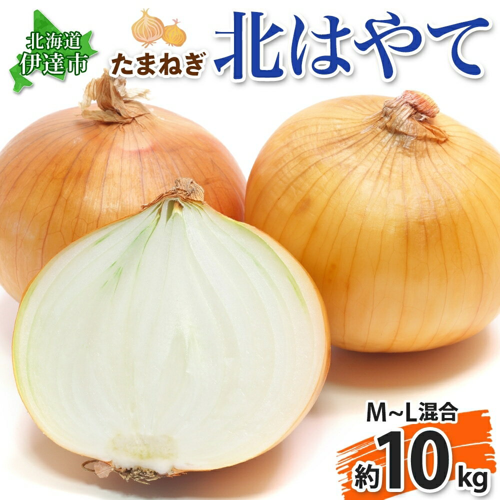 【ふるさと納税】伊達【木須農園】の玉ねぎ＜北はやて＞約10kg　【野菜・ねぎ・野菜・玉ねぎ・たまね...