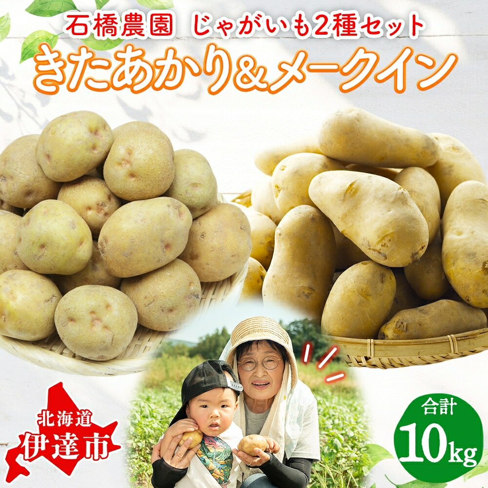 【ふるさと納税】石橋農園のじゃがいも（北あかり＆メークイン）約10kg食べ比べセット　【野菜・じゃがいも・セット・詰合せ・ジャガイモ・芋】　お届け：2024年9月上旬～11月下旬