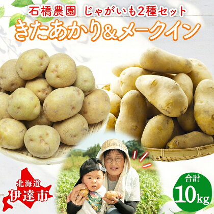 石橋農園のじゃがいも（北あかり＆メークイン）約10kg食べ比べセット　【野菜・じゃがいも・セット・詰合せ・ジャガイモ・芋】　お届け：2024年9月上旬～11月下旬