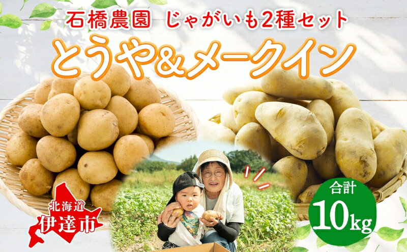 【ふるさと納税】石橋農園のじゃがいも（とうや＆メークイン）約10kg食べ比べセット　【野菜・じゃがいも・セット・詰合せ・ジャガイモ・芋・セット】　お届け：2024年9月上旬～11月下旬