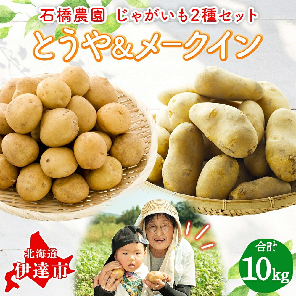 【ふるさと納税】石橋農園のじゃがいも（とうや＆メークイン）約10kg食べ比べセット　【野菜・じゃがいも・セット・詰合せ・ジャガイモ・芋・セット】　お届け：2024年9月上旬～11月下旬