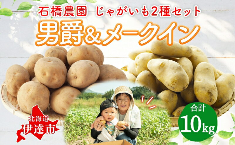 【ふるさと納税】石橋農園のじゃがいも（男爵＆メークイン）約10kg食べ比べセット　【野菜・じゃがいも・セット・詰合せ・ジャガイモ・芋・セット】　お届け：2024年9月上旬～11月下旬