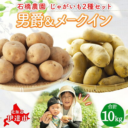 石橋農園のじゃがいも（男爵＆メークイン）約10kg食べ比べセット　【野菜・じゃがいも・セット・詰合せ・ジャガイモ・芋・セット】　お届け：2024年9月上旬～11月下旬