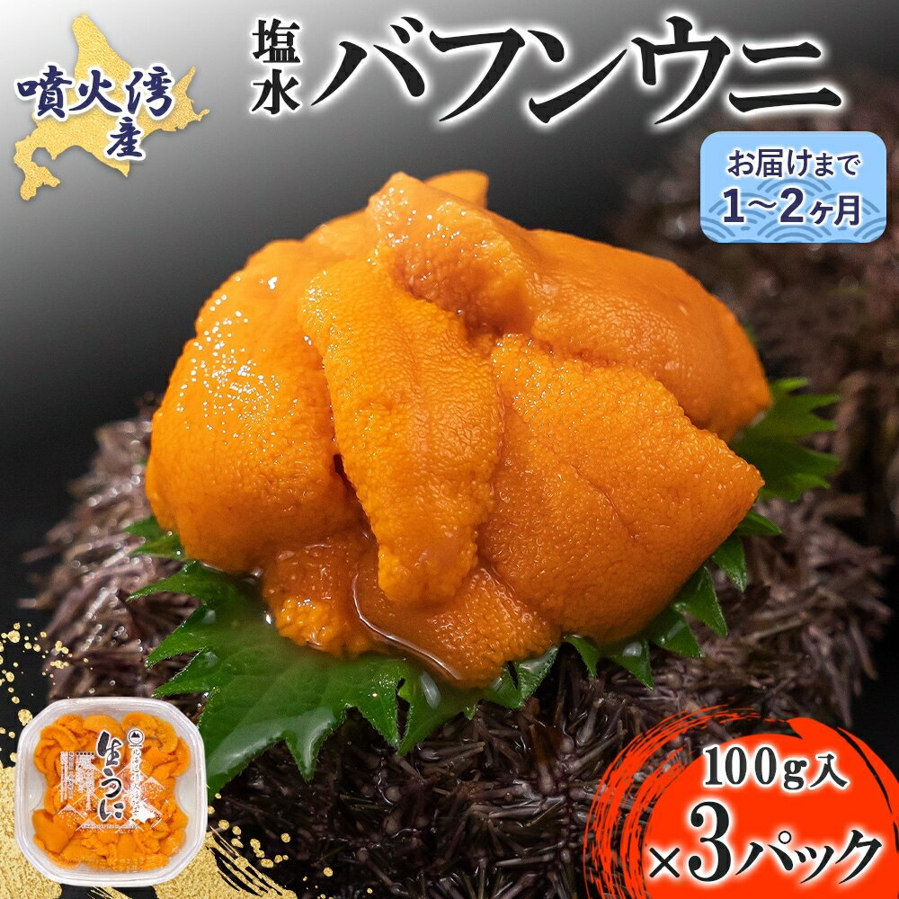 24位! 口コミ数「0件」評価「0」北海道 噴火湾産 塩水 バフンウニ 100g 3パック 計300g うに ウニ 雲丹 海鮮 海の幸 魚介類 ウニ丼 お寿司 濃厚 無添加 産･･･ 