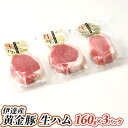 生ハム 【ふるさと納税】伊達産 黄金豚 生ハム 160g×3パック　【お肉・ハム・生ハム・豚肉・黄金豚・こがねとん・赤ワイン・チーズ】