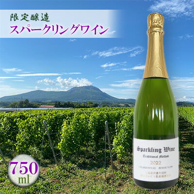スパークリングワイン 2022 限定醸造 北海道 伊達市産ぶどう使用 ぶどう フレッシュ フルーティー シャープ [ ワイン スパークリング お酒 シャンパン ]