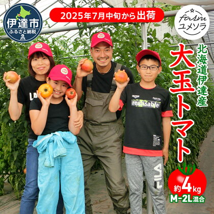 ◆2024年7月から順次出荷◆ farmユメソラ 大玉 トマト 約4kg　【野菜 トマト 桃太郎 大玉トマト】　お届け：2024年7月下旬～10月下旬