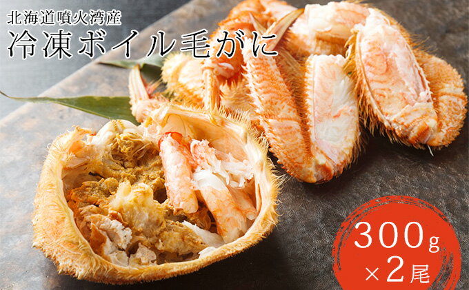 【ふるさと納税】北海道 噴火湾産 冷凍 ボイル 毛がに 約300g×2尾　【 海鮮 海の幸 甲殻類 急速冷凍 濃厚 旨み かに味噌 つまみ 酒 日本酒 晩酌 肴 あて 一品料理 お祝い 集まり 】