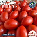 【ふるさと納税】◆2024年8月より順次出荷◆北海道 伊達 岡本園芸 ミニトマト 高糖度 約4kg【マジウマ！トマト】　　【 野菜 北海道産 緑黄色野菜 栄養豊富 旨味 日持ち 朝採れ 採れたて 新鮮 直送 】　お届け：2024年8月上旬～9月末頃