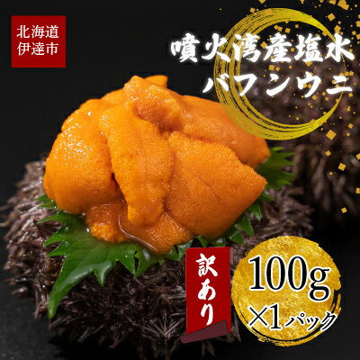 22位! 口コミ数「1件」評価「1」訳あり 北海道 噴火湾産 塩水 バフンウニ 100g 1パック うに ウニ 雲丹 海鮮 海の幸 魚介類 ウニ丼 お寿司 濃厚 無添加 産地直･･･ 