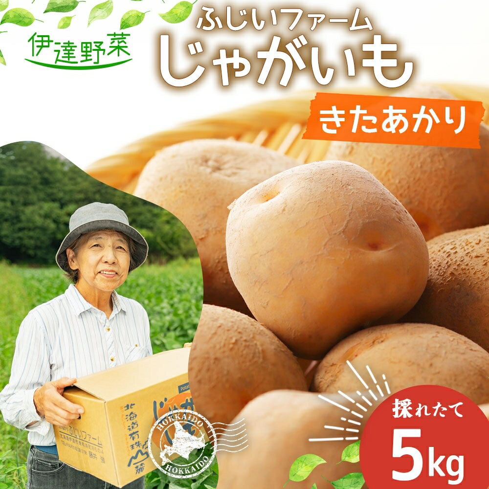 【ふるさと納税】北海道産 じゃがいも 北あかり 約5kg ジャガイモ 馬鈴薯 ポテト 芋 イモ きたあかり キタアカリ 栗じゃがいも 旬 産地直送 野菜 農作物 ホクホク じゃがバター コロッケ 人気 ふじいファーム 送料無料　【 伊達市 】　お届け：2024年9月中旬～11月下旬