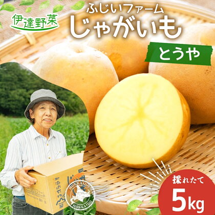 北海道産 じゃがいも とうや 約5kg ジャガイモ 馬鈴薯 ポテト 芋 イモ 旬 産地直送 国産 野菜 農作物 甘い ホクホク しっとり 煮物 カレー 肉じゃが 人気 ふじいファーム 送料無料　【 伊達市 】　お届け：2024年9月中旬～11月下旬