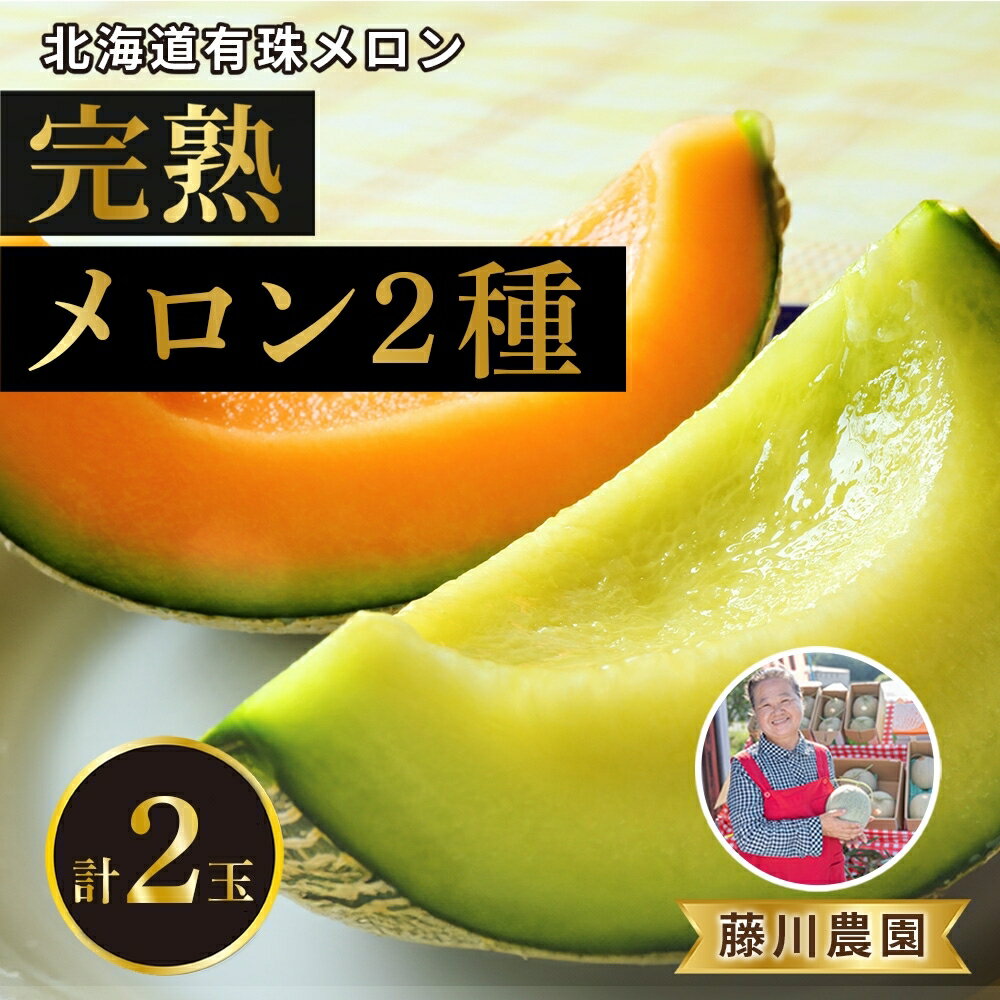 北海道産 有珠メロン 2玉 セット 赤肉 青肉 Lサイズ 1.6kg以上 各1玉 食べ比べ ツル付き 果物 めろん フルーツ くだもの 完熟 旬 ご褒美 ギフト お祝い 産地直送 お取り寄せ 北海道 藤川農園 送料無料 伊達 [伊達市] お届け:2024年7月中旬〜9月上旬まで