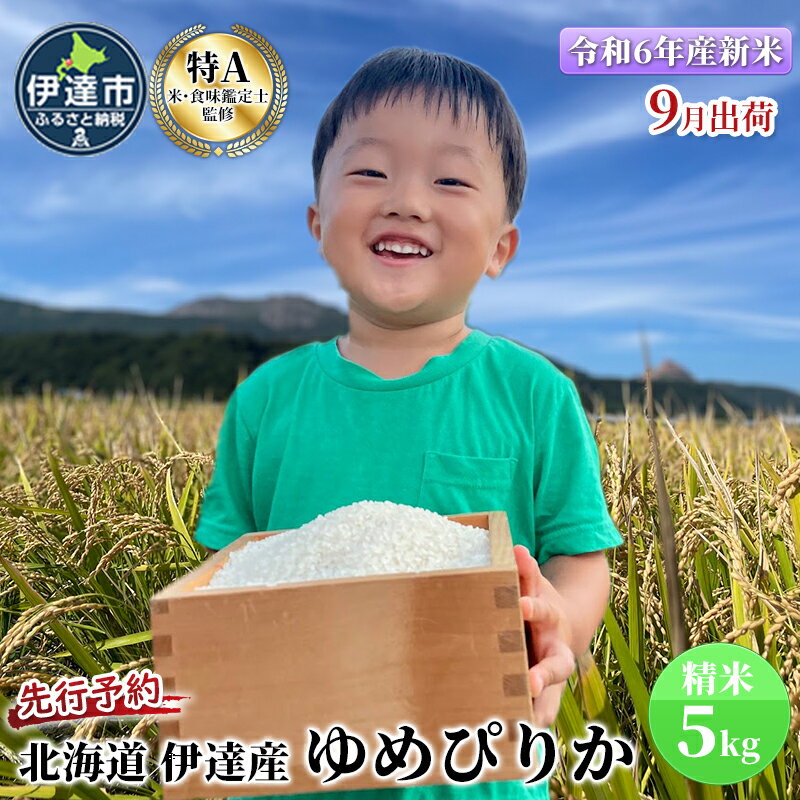 【ふるさと納税】【令和5年度】 北海道 伊達産 ゆめぴりか 5kg 精米　【 お米 白米 ごはん ブランド米 ご飯 おにぎり お弁当 産地直送 甘い 粘り強い やわらかい 冷めても美味しい 】　お届け：9月下旬より順次出荷