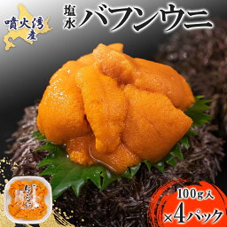 【ふるさと納税】北海道 噴火湾産 塩水 バフンウニ 100g 4パック 計400g うに ウニ 雲丹 海鮮 海の幸 魚介類 ウニ丼 お寿司 濃厚 無添加 産地直送 お取り寄せ 山村水産 送料無料　【魚貝類・加工食品・魚貝類・ウニ・雲丹】