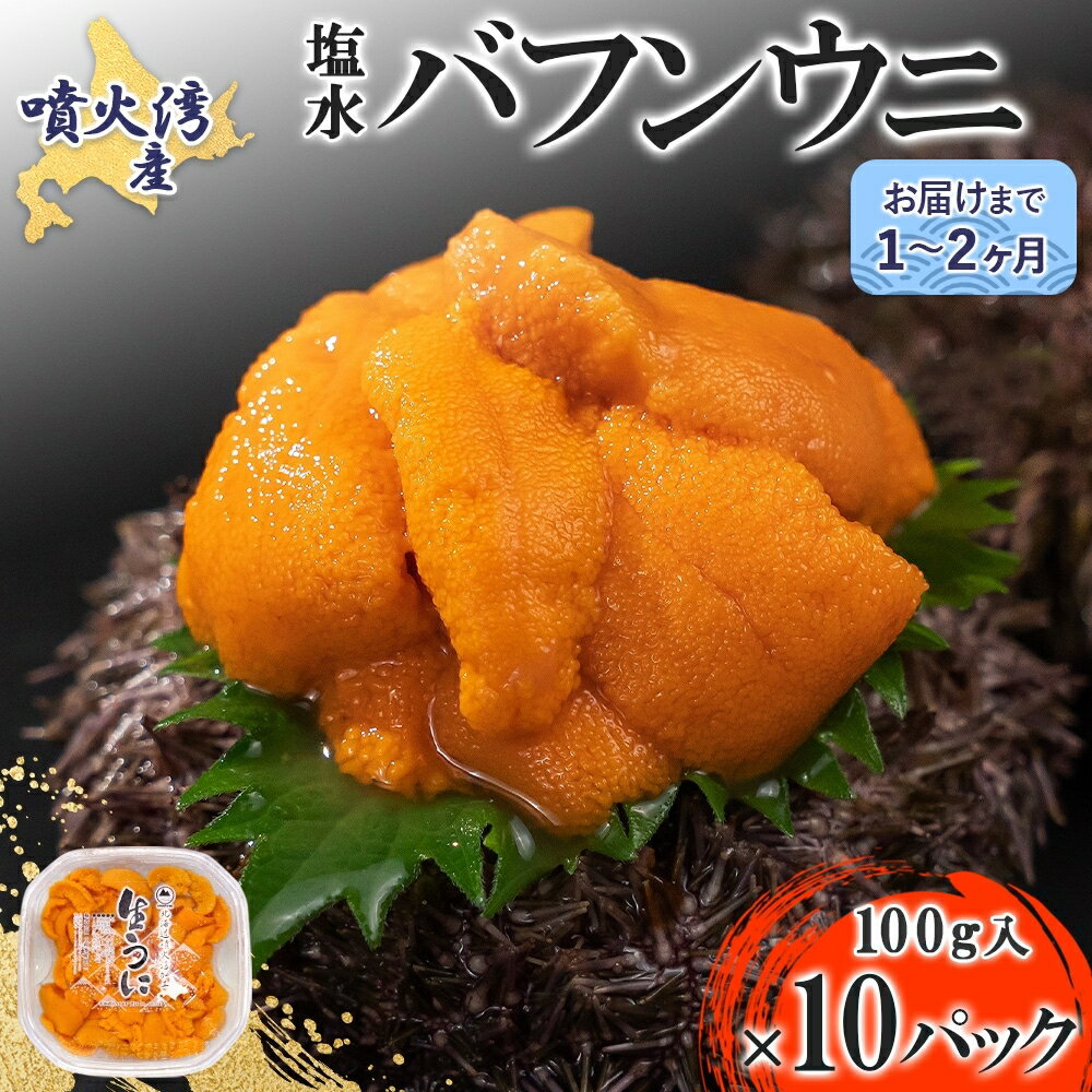 【ふるさと納税】北海道 噴火湾産 塩水 バフンウニ 100g 10パック 計1kg うに ウニ 雲丹 海鮮 海の幸 魚介類 ウニ丼 お寿司 濃厚 無添加 産地直送 お取り寄せ 山村水産 送料無料　【魚貝類・加工食品・魚貝類・ウニ・雲丹】