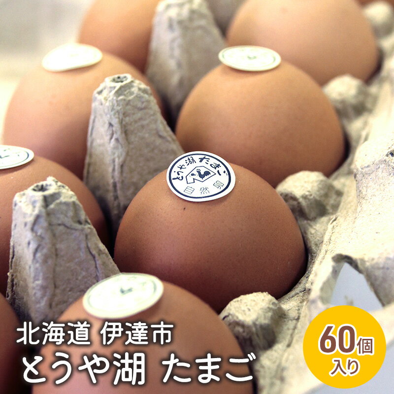 【ふるさと納税】北海道 伊達市 とうや 卵 60個 入り たまご　【 鶏卵 食材 グルメ 食卓 エッグ 卵料理 卵かけごはん TKG 万能食材 ご飯のお供 朝食 朝ごはん 夜ごはん 夕飯 】