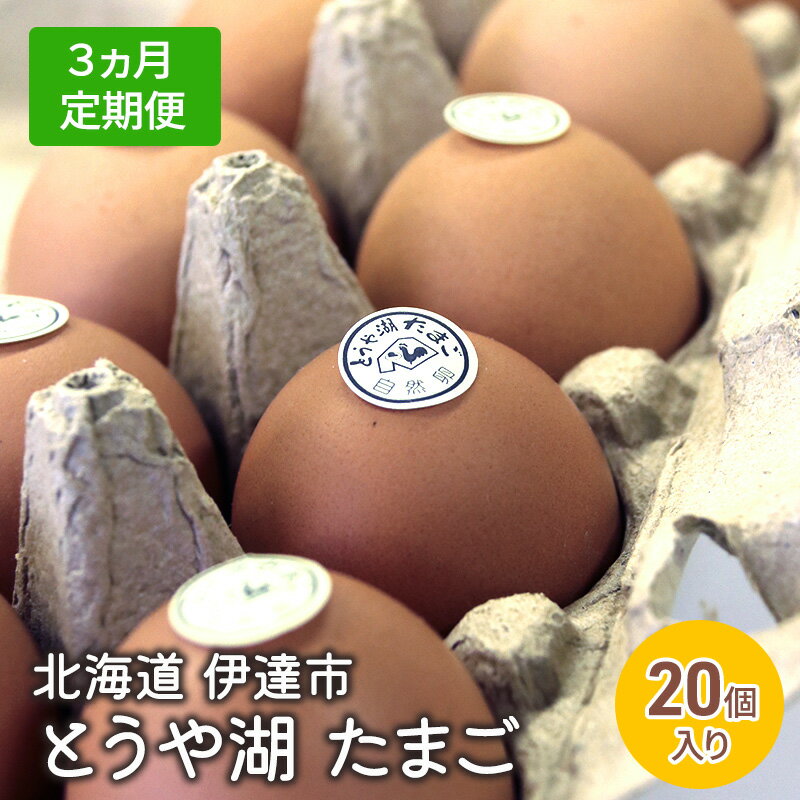 【ふるさと納税】【3ヵ月 定期便】 北海道 伊達市 とうや 卵 20個 入り たまご　【定期便・ 鶏卵 食材 グルメ 食卓 エッグ 卵料理 卵かけごはん TKG 万能食材 ご飯のお供 朝食 朝ごはん 夜ごはん 夕飯 】