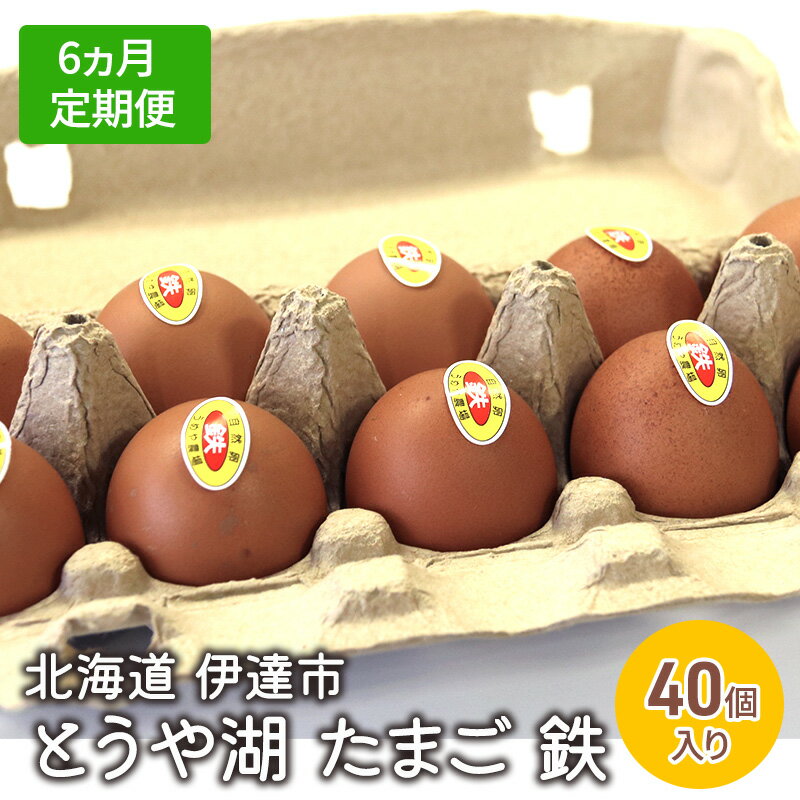 11位! 口コミ数「0件」評価「0」【6ヵ月 定期便】 北海道 伊達市 とうや 卵 鉄 40個 入り たまご　【定期便・ 鶏卵 食材 グルメ 食卓 エッグ 卵料理 卵かけごはん･･･ 