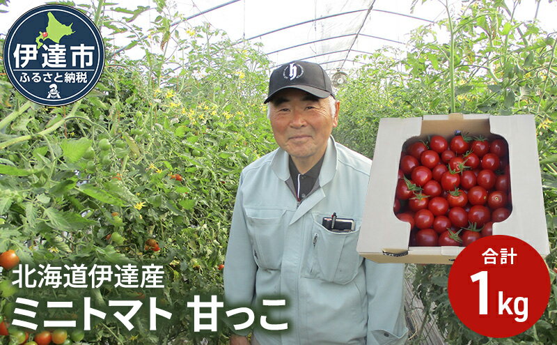 【ふるさと納税】北海道伊達産 ミニトマト 甘っこ 1kg とまと 甘い　【 野菜 北海道産 北海道野菜 緑黄色野菜 食材 サラダ トッピング 】　お届け：2024年7月下旬～9月下旬まで