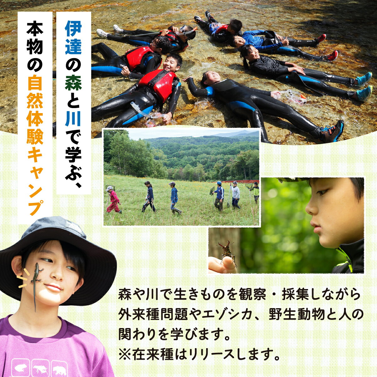 北海道伊達市の【ふるさと納税】＜2026年 7月・8月＞ 大自然での子ども体験学習キャンプ 野生動物について学ぼう！【imi-001-sku】北海道 伊達市 アウトドア 自然体験 体験チケット｜アングル2
