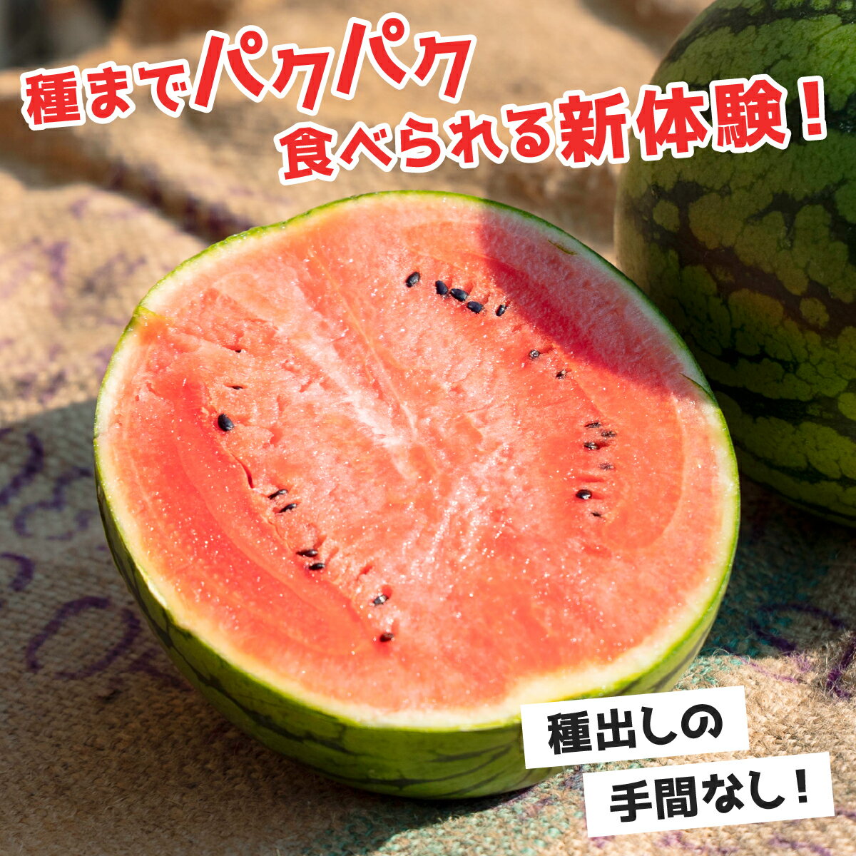 【ふるさと納税】＜先行予約＞北海道伊達産 小玉スイカ ピノ・ガール 【tom-001】