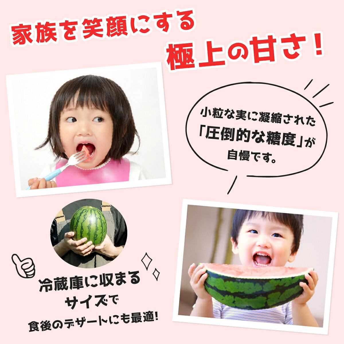 【ふるさと納税】【2027年先行予約】北海道伊達産 小玉スイカ "ピノ・ガール" ｜フルーツ 旬 野菜 果物 伊達市 北海道産【tom-001】 f012335-date-10001024 北海道伊達市 サンプル画像3