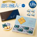 【ふるさと納税】白い恋人 ホワイト&ブラック 合計120枚 24枚入 5箱 チョコ ホワイトチョコ チョコレート菓子 洋菓子 お菓子 焼き菓子 ラングドシャクッ...