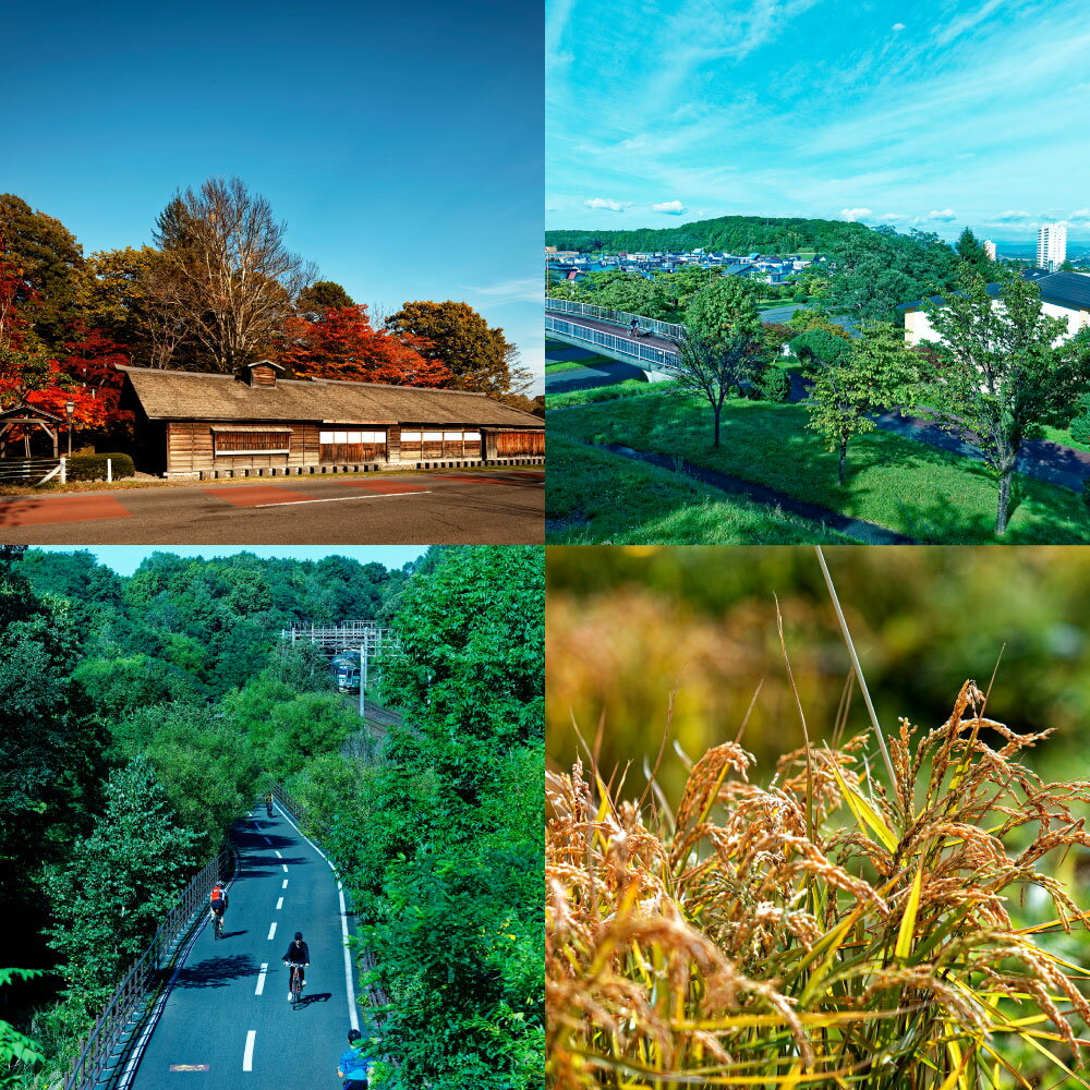 【ふるさと納税】北広島市への寄附(返礼品はあり...の紹介画像3