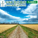 【ふるさと納税】北広島市への寄附(返礼品はありません)5,000円 返礼品なし 北海道 北広島市