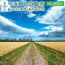 【ふるさと納税】北広島市への寄附(返礼品はありません)10,000円 返礼品なし 北海道 北広島市