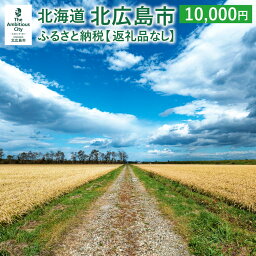 【ふるさと納税】北広島市への寄附（返礼品はありません）10,000円 返礼品なし 北海道 北広島市