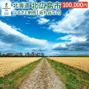 【ふるさと納税】北広島市への寄附(返礼品はありません)100,000円 返礼品なし 北海道 北広島市