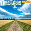 【ふるさと納税】北広島市への寄附(返礼品はありません)500,000円 返礼品なし 北海道 北広島市(3)