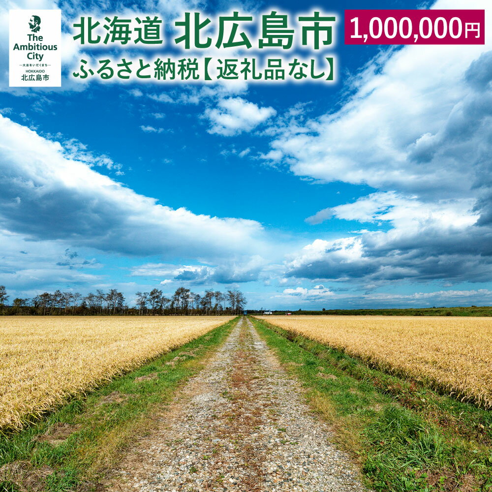 30位! 口コミ数「0件」評価「0」北広島市への寄附（返礼品はありません）1,000,000円 返礼品なし 北海道 北広島市