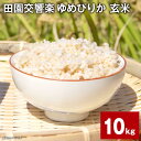 【ふるさと納税】田園交響楽ゆめぴりか 玄米 計10kg 【2025年9月下旬発送開始予定】自家製オリジナル堆肥 有機質肥料 化学合成殺虫剤不使用米 お米 玄米 北海道 北広島市 送料無料 楽天スーパーSALE 9月開催