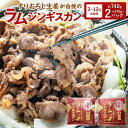 【ふるさと納税】選べる【3・6・12回 定期便】すりおろし生姜が自慢の ラム ジンギスカン 約370g×2パック 合計740g ラム肉 生姜味 焼き肉 北海道 ...