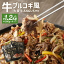 【ふるさと納税】大麦牛ANGUS使用 牛プルコギ風 4パックセット 300g×4パック 計1.2kg プルコギ 牛 牛肉 アンガス牛 惣菜 おかず 時短 冷凍 ...