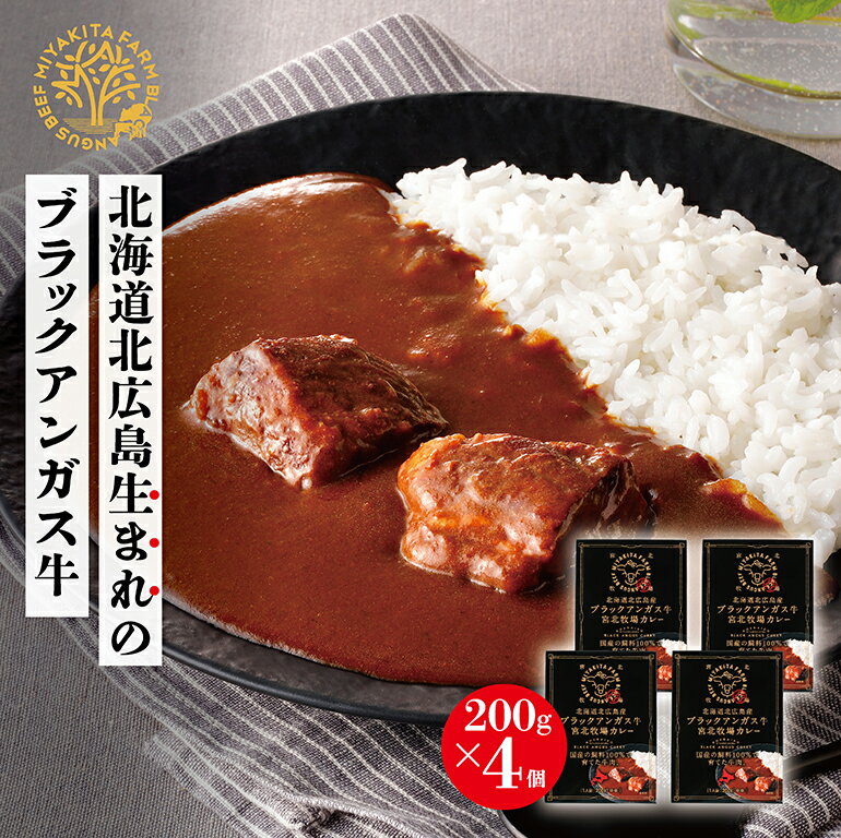 1位! 口コミ数「0件」評価「0」北海道 北広島産 ブラックアンガス牛 宮北牧場 カレー 1人前200g×4箱 レトルト ビーフカレー 中辛 牛肉 惣菜 個包装 おかず 国産･･･ 