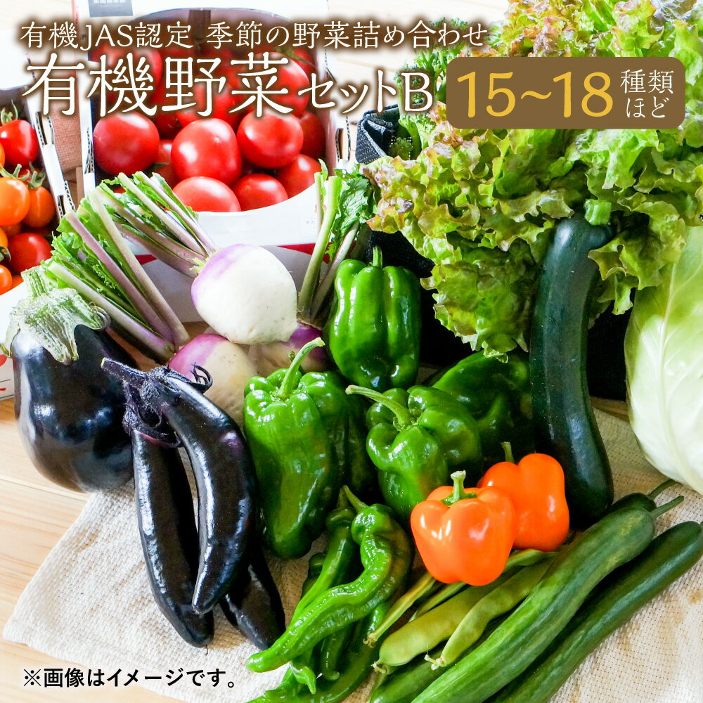 【ふるさと納税】有機JAS認定 季節の野菜詰め合わせ~有機野