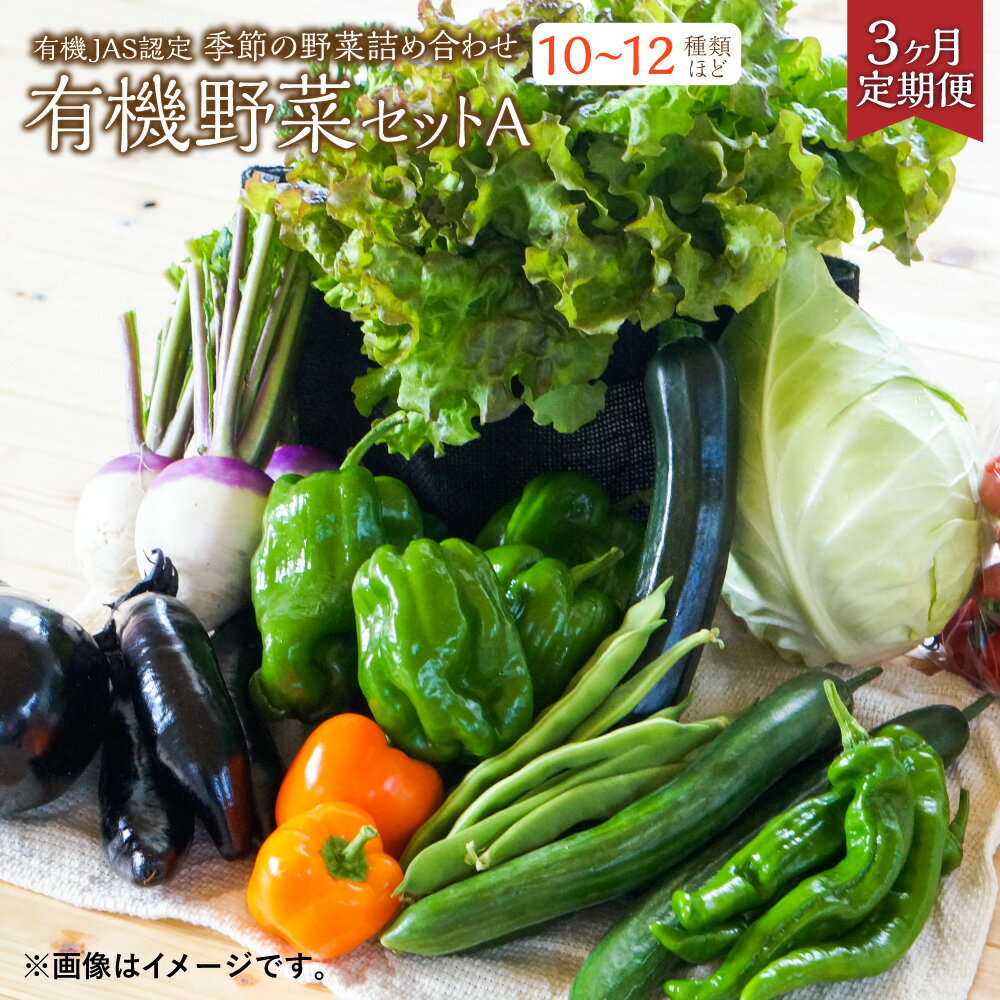 【ふるさと納税】【3ヶ月定期便】有機JAS認定 季節の野菜詰め合わせ~有機野菜セットA~季節の有機野菜 10～12種類 おまかせ 詰め合わせ 農薬化学肥料不使用 朝どれ 新鮮野菜 安心 安全 国産 北海道 北広島市産 冷蔵 送料無料