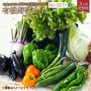 【ふるさと納税】【3ヶ月定期便】有機JAS認定 季節の野菜詰