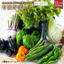 4位! 口コミ数「1件」評価「1」【12ヶ月定期便】有機JAS認定 季節の野菜詰め合わせ~有機野菜セットA~季節の有機野菜 10～12種類 おまかせ 詰め合わせ 年間定期便 ･･･ 