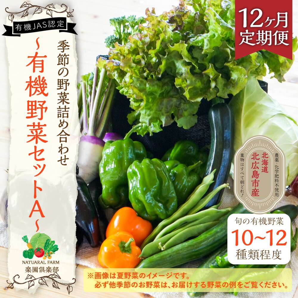 【ふるさと納税】【12ヶ月定期便】有機JAS認定 季節の野菜詰め合わせ~有機野菜セットA~季節の有機野菜 10～12種類 おまかせ 詰め合わせ 年間定期便 農薬化学肥料不使用 朝どれ 新鮮野菜 安心 安全 国産 北海道 北広島市産 冷蔵 送料無料