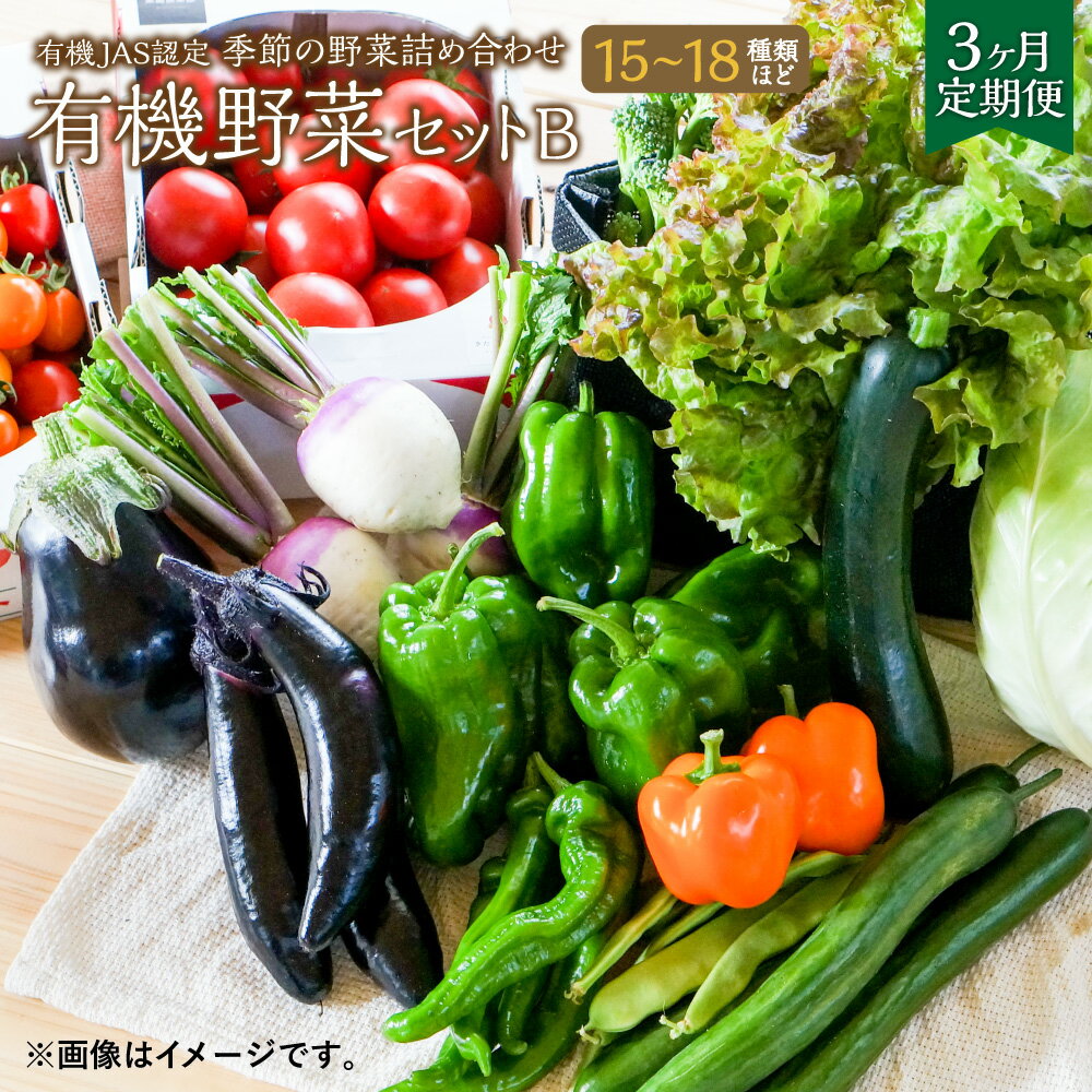 [3ヶ月定期便]有機JAS認定 季節の野菜詰め合わせ~有機野菜セットB~季節の有機野菜 15〜18種類 おまかせ 詰め合わせ 農薬化学肥料不使用 朝どれ 新鮮野菜 安心 安全 国産 北海道 北広島市産 冷蔵 送料無料