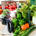 【ふるさと納税】【12ヶ月定期便】有機JAS認定 季節の野菜