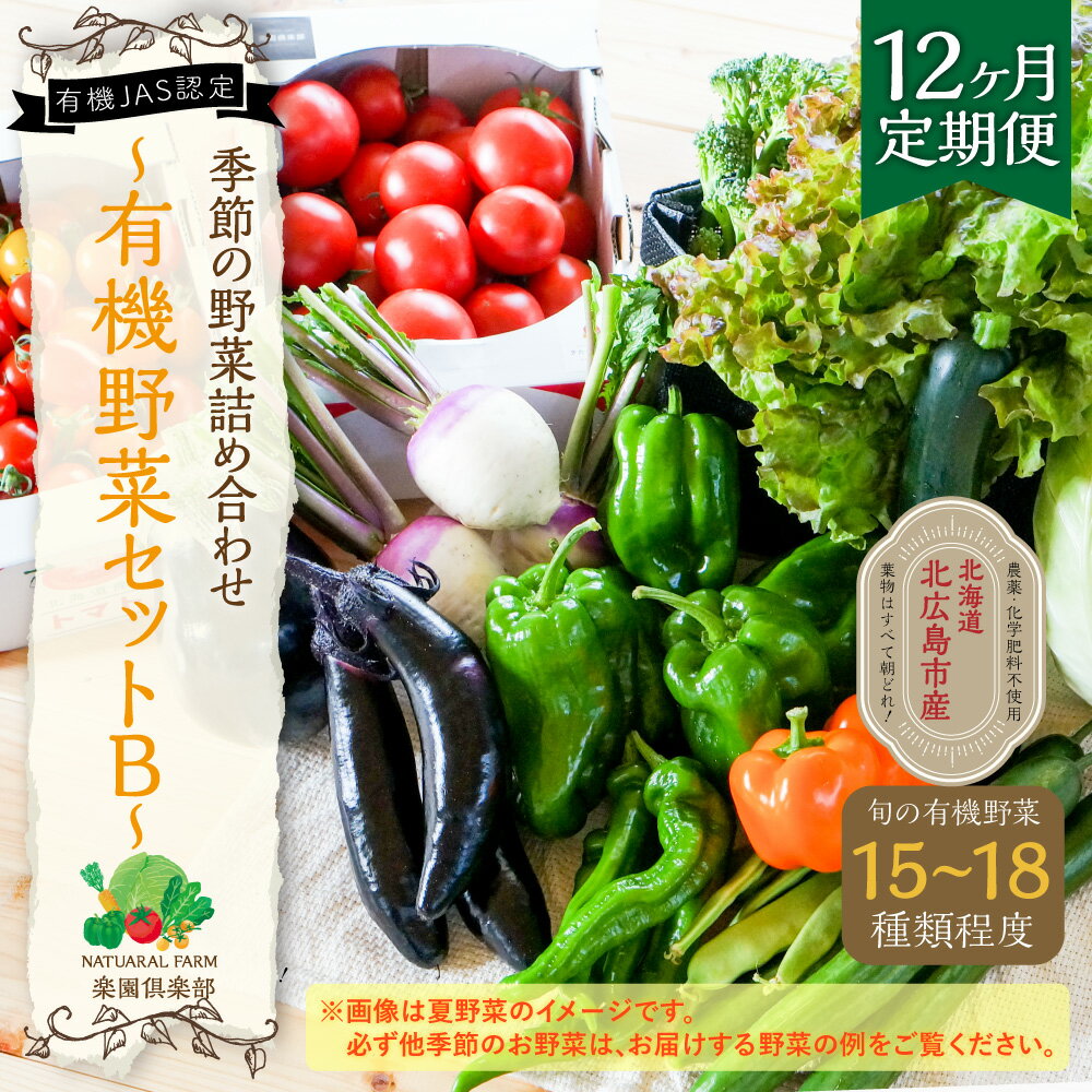 【ふるさと納税】【12ヶ月定期便】有機JAS認定 季節の野菜詰め合わせ~有機野菜セットB~季節の有機野菜 15～18種類 おまかせ 詰め合わせ 年間定期便 農薬化学肥料不使用 朝どれ 新鮮野菜 安心 安全 国産 北海道 北広島市産 冷蔵 送料無料