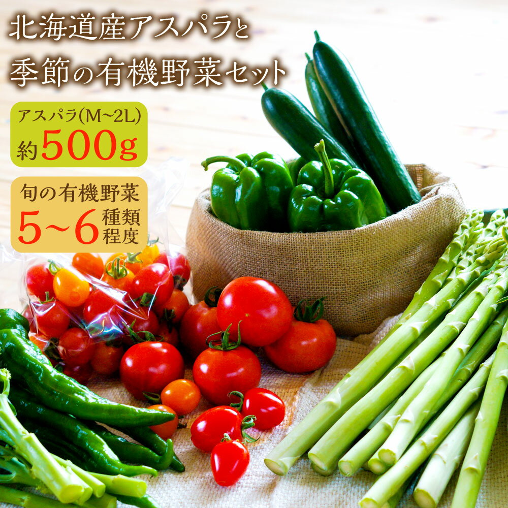 [2024年4月下旬発送開始]北海道産アスパラと季節の有機野菜セット アスパラM〜2Lサイズ 約500g 季節の有機野菜 5~6種類程度 おまかせ 詰め合わせ 新鮮野菜 国産 北海道産 北広島市産 春 冷蔵 送料無料